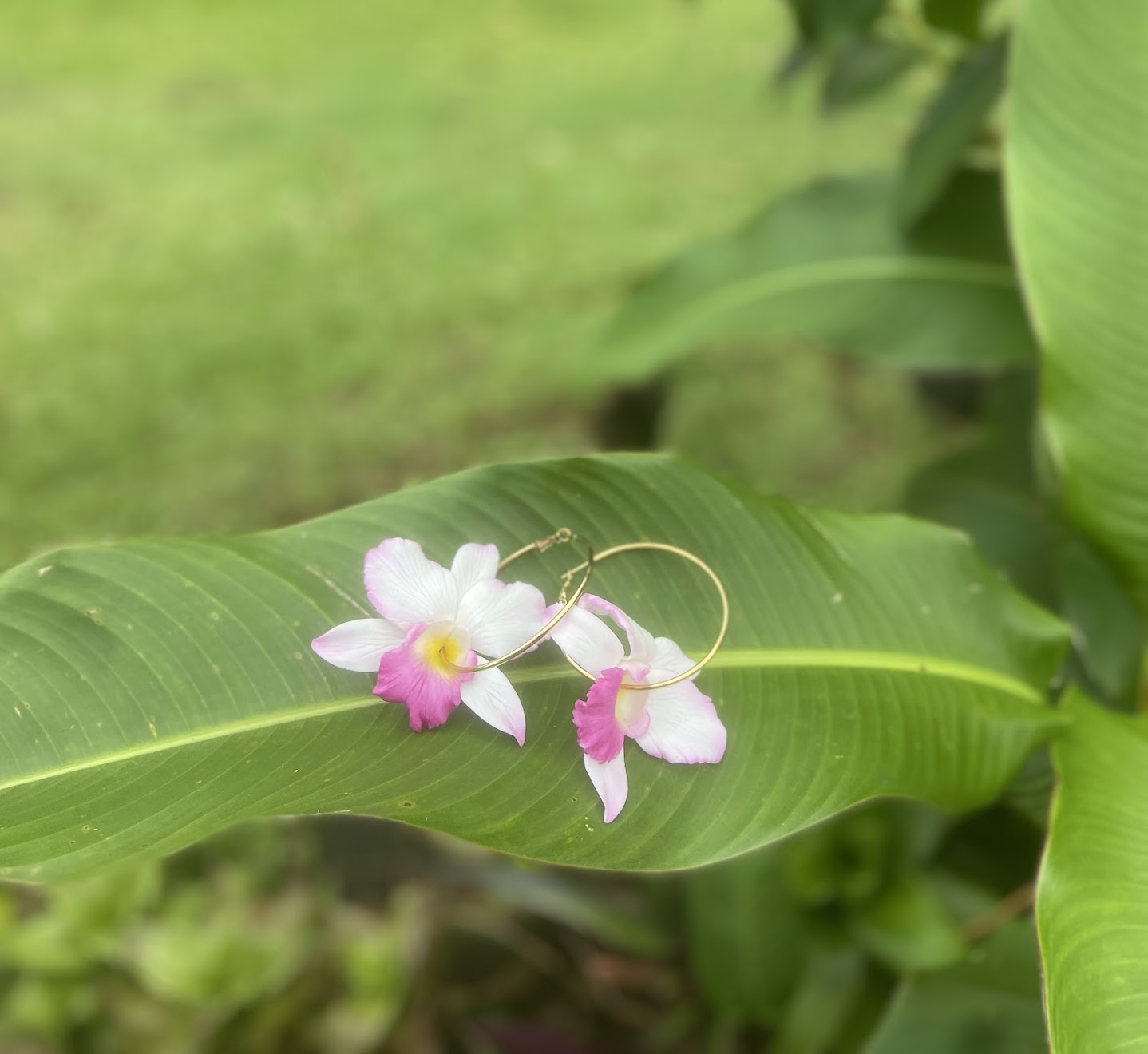 Culture Girl handmade clay pink and white orchid gold hoop earrings