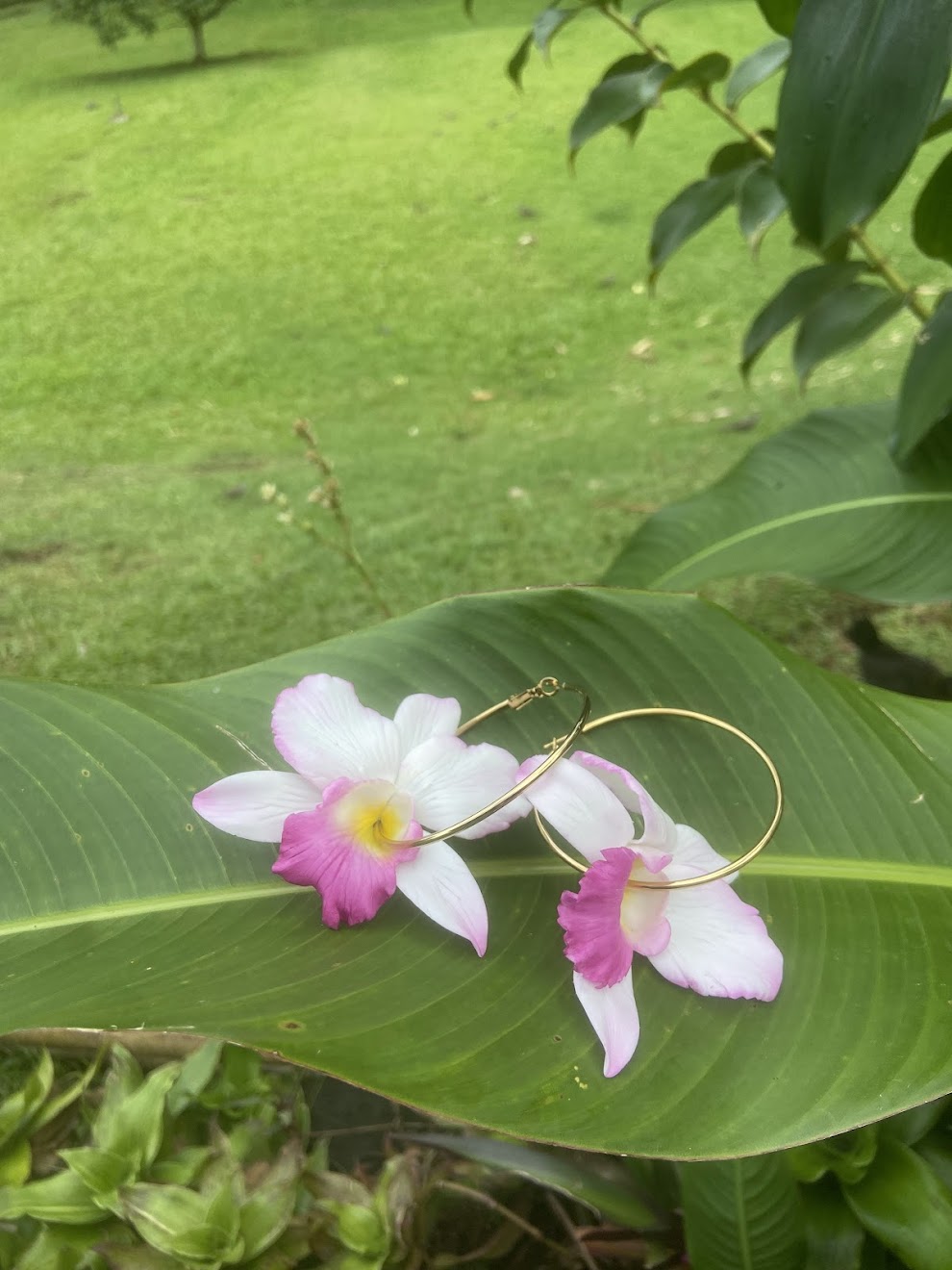 Gold hoop earrings with Culture Girl handmade, clay pink and white orchids on a green leaf